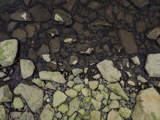 Rocks with moss on the coast. Greenish stones. The border of stones on the shore and in the water....