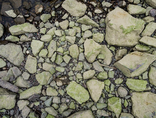 Rocks with moss on the coast. Greenish stones. Rocks on the beach. The texture of the stones. Abstract. Top view