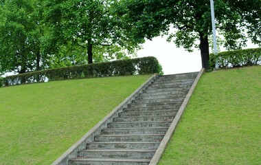 新緑　階段　風景