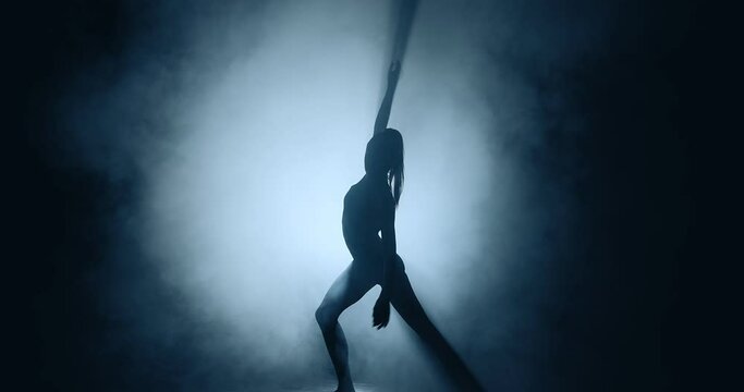 Silhouette of graceful ballerina dancing in textured smoke in spotlight, modern ballet performance
