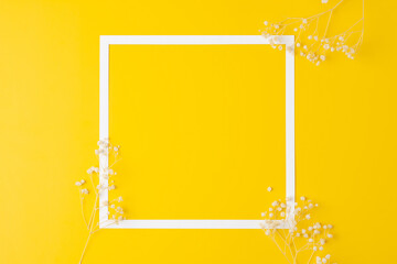 White frame with gypsophila on yellow background. Flat lay, copy space.