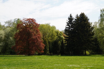 autumn in the park