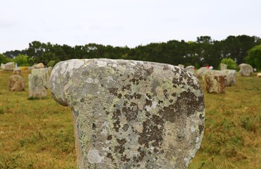 old stones of Carnac