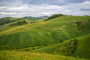 Paysage rural en Italie dans la région des Marches