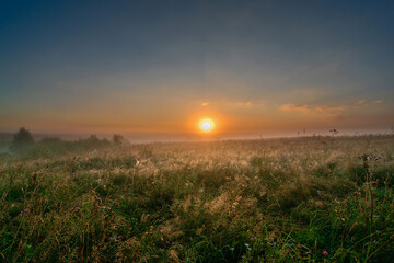 dawn over the field in central russia