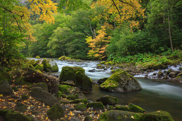 大雪山国立公園層雲峡の紅葉