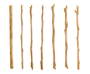 Watercolor wooden sticks set. Hand drawn tree branches isolated on white. Bare twigs decoration, wood trunks, rustic natural design