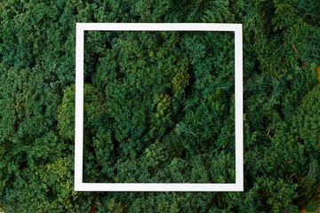 White frame on green moss natural background. Flat lay, copy space.