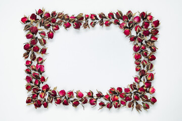 Rose bud full frame on white background. Greeting card