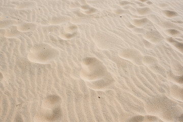 footprints in the sand