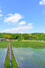 宮城　小さな村の田植えの後