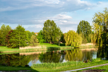 Summer quiet evening by the lake with reflections of trees in the water in natural colors, soft focus. A park in Almere with a pond and beautiful trees in the light of the sunset.