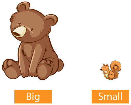 Opposite adjectives words with big and small