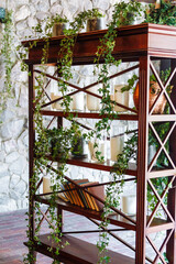 Decorated book shelf with books, candles and plants.