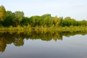 The river bank with the reflection of the forest in the water in the early morning