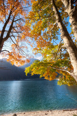 landscape of golden orange and red colors of autumn alps slovenia italy low clouds and first snow bright sunny day