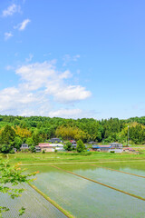 宮城　小さな村の田植えの後