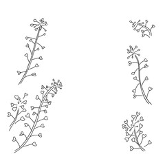 ナズナ_モノクロ線画_装飾_透明背景