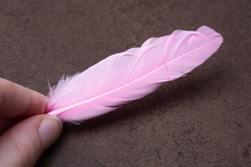 Closeup shot of a pink feather on a brown background