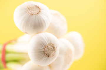 Young garlic heads in a bunch