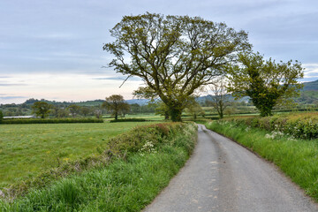 Fototapeta na wymiar The Countryside near Carmarthen, Wales, U.K.