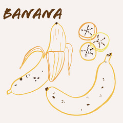 Hand drawn banana fruit multicolor line art vector illustration. Colorful line art exotic fruit design.