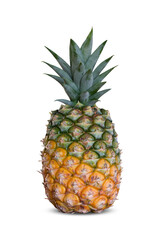 pineapple isolated on white background. Clipping path
