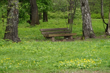 bench in the park