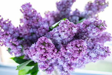 Obraz premium Bouquet of lilacs on a light background
