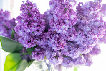 Obraz premium Bouquet of lilacs on a light background