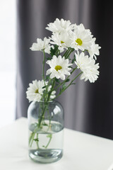Flowers in vase in home interior