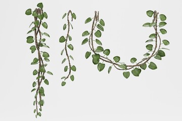Obraz premium Realistic 3D Render of Liana Plants
