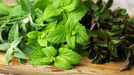 Fresh mint. Different varieties of mint on a wooden board. Harvesting mint for tea.