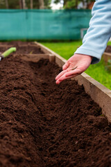 Girl's hand with plants seeds. Close-up.