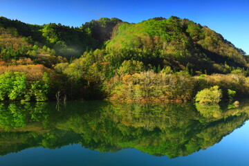 Fototapeta na wymiar 岩手県西和賀町　新緑の錦秋湖