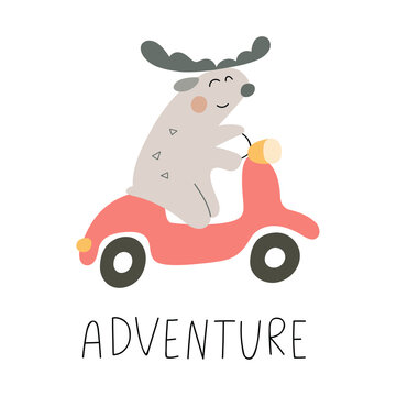 Adventure. Funny moose on scooter. Birthday concept. Vector illustration for greeting card, t shirt, print, stickers, posters design.  