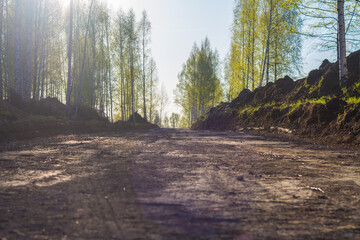 Construction of a new dirt road in the spring in the forest