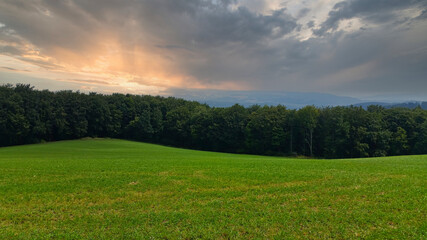 Fototapeta premium green field in austria at sunset