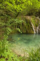 View of natural pool in the wild forest