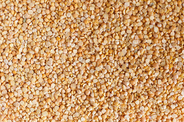 Close up photo of dried yellow peas