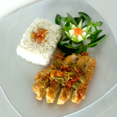 rice with chicken
