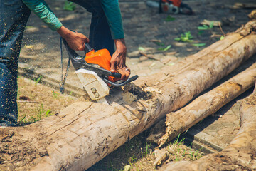 action; arborist; blade; chain; chainsaw; climber; cut; electric; equipment; firewood; forest; hand; industrial; industry; job; log; lumber; lumberjack; machine; male; man; outdoors; power; saw; sawdu
