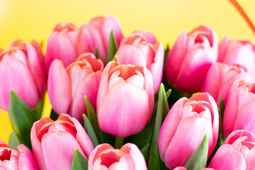 Obraz na płótnie Canvas Fresh tulips. Pink tulips in a vase