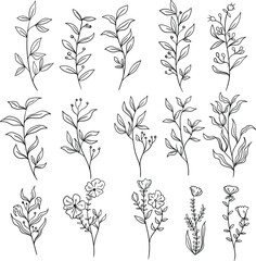 set botanical leaf doodle wildflower line art