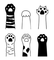 different cat paws, claws, pads