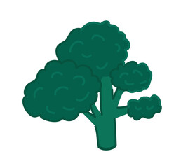 Vector broccoli. Flat cartoon style isolated on white background