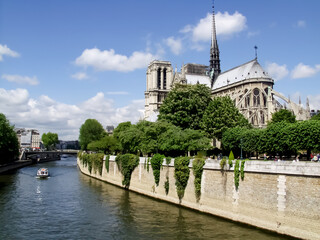 Fototapeta na wymiar Side-view of Notre Dame de Paris