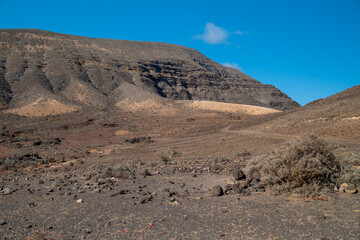 Karge Landschaft - Fuerteventura