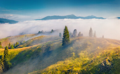 Spectacular morning scene of Stebnyi village. Foggy summer view from flying drone of Carpathian mountains, Ukraine, Europe. Beauty of nature concept background.