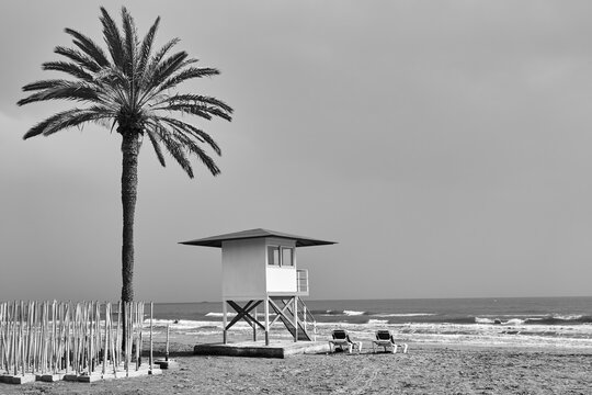 Beach with palm and lifeguard tower by the sea - Powered by Adobe